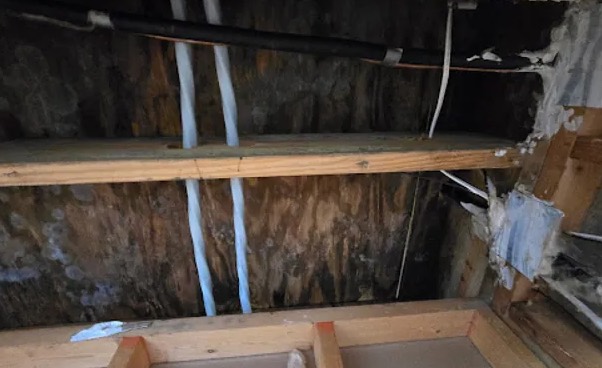 Attic Water Damage Repair in McKinney, TX