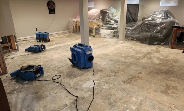 Pet Odor Removal in McKinney, TX